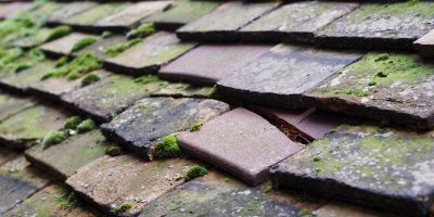 Rhydcymerau roof repair costs